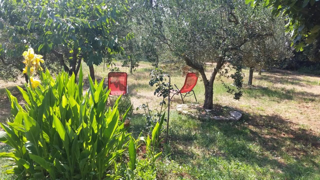 Apartments Vera ברבריגה מראה חיצוני תמונה